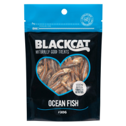 Ocean Fish
