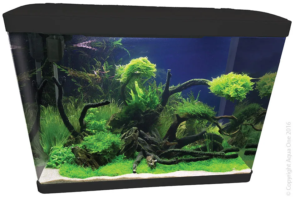 Reptile Heating Setup: A Measurement-First Checklist