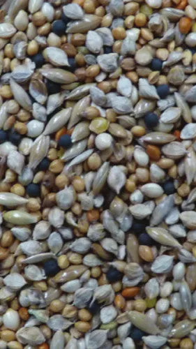 Wild Bird Seed Mix