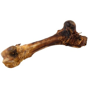 Beef Bone