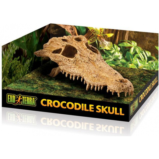 Exo Terra Crocodile Skull