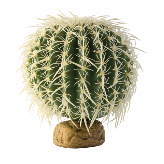 Exo Terra Barrel Cactus