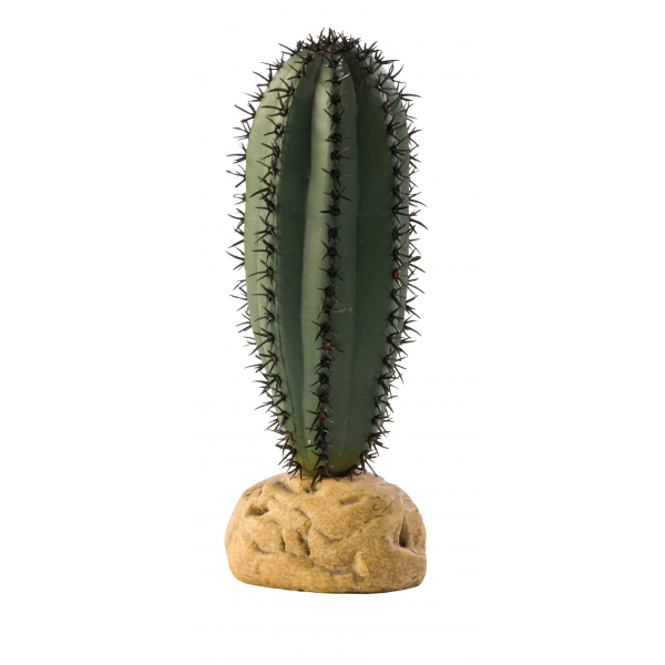Exo Terra Saguard Cactus