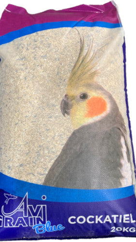 Cockatiel Blue